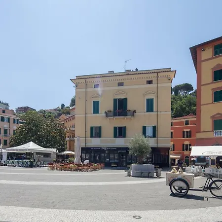 Magnolia Lerici